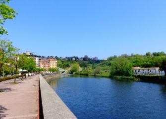 Paseando por Loiola