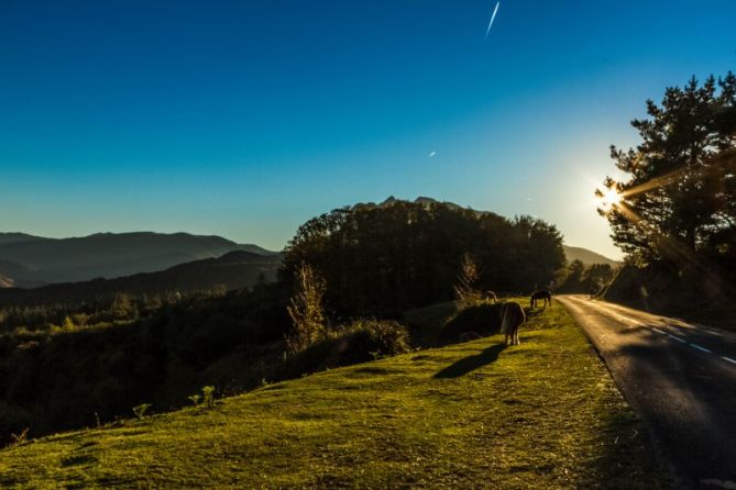 Paseo con las Potxokas: foto en Oiartzun