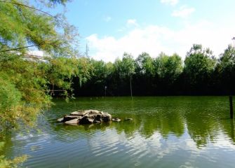 Plaiaundi
