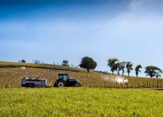 Preparando el Txakoli