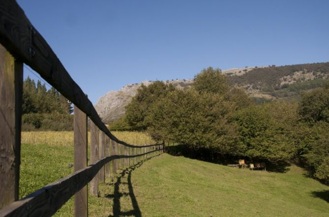 Puente: foto en Bidegoian