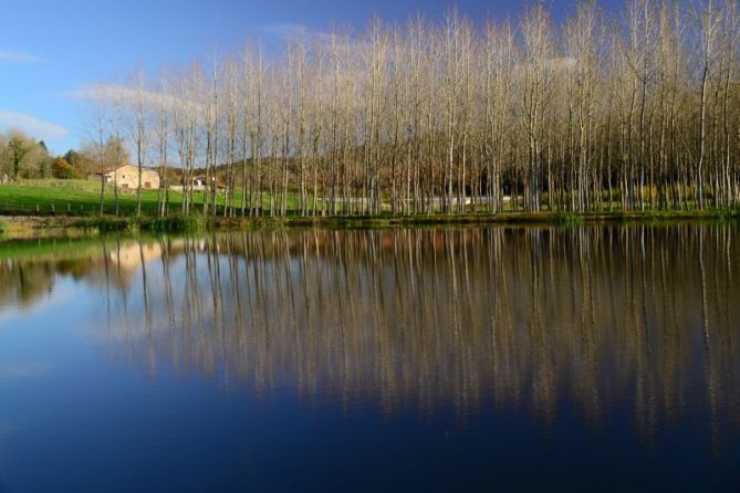 Reflejos: foto en Orio