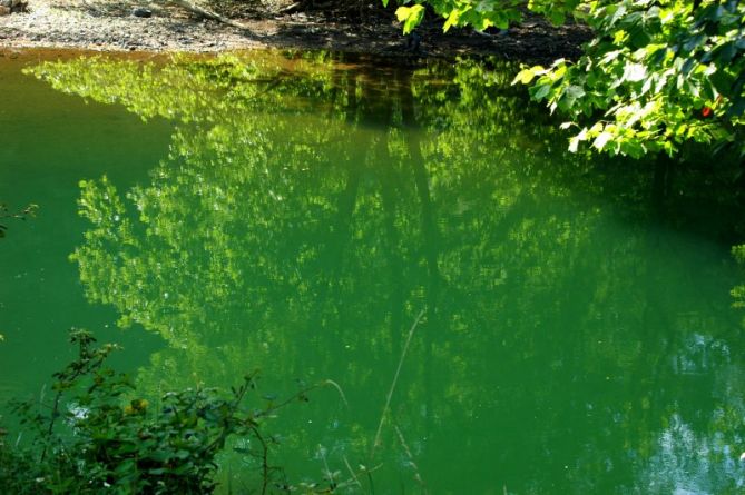 Reflejos en el Rio Bidasoa: foto en Irun