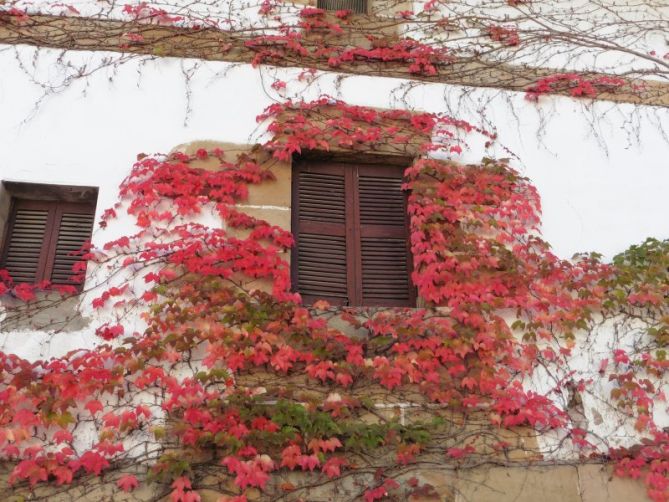 roja ventana: foto en Ataun