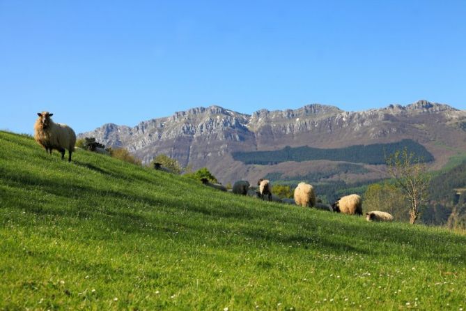 sí, estamos en primavera ¿que pasa?: foto en Zegama