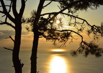 SIEMPRE CANTÁBRICO-HONDARRIBIA