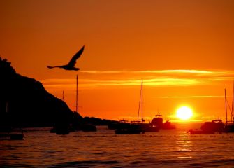 Sobrevolando el atardecer