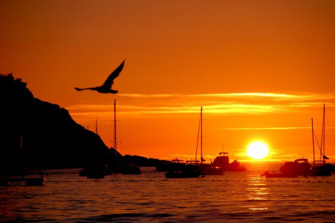 Sobrevolando el atardecer: foto en Donostia-San Sebastián