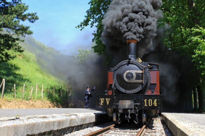 la superviviente: foto en Azpeitia