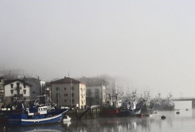 surgiendo de la niebla: foto en Orio