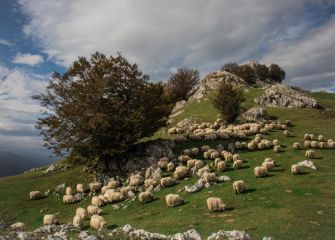 El susurro del viento 