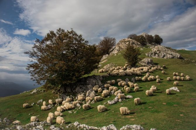 El susurro del viento : foto en Oñati