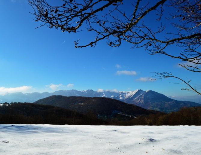 This is the Basque Country!: foto en Amezketa