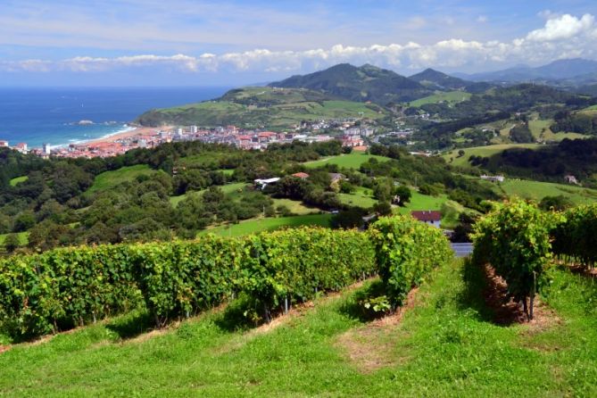 Txakoli: foto en Zarautz