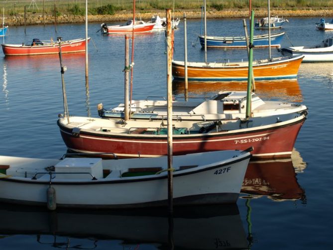 Txalupak: foto en Hondarribia