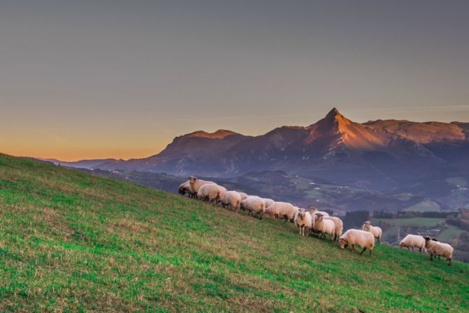 txindoki eta bere bazterrak: foto en Beasain