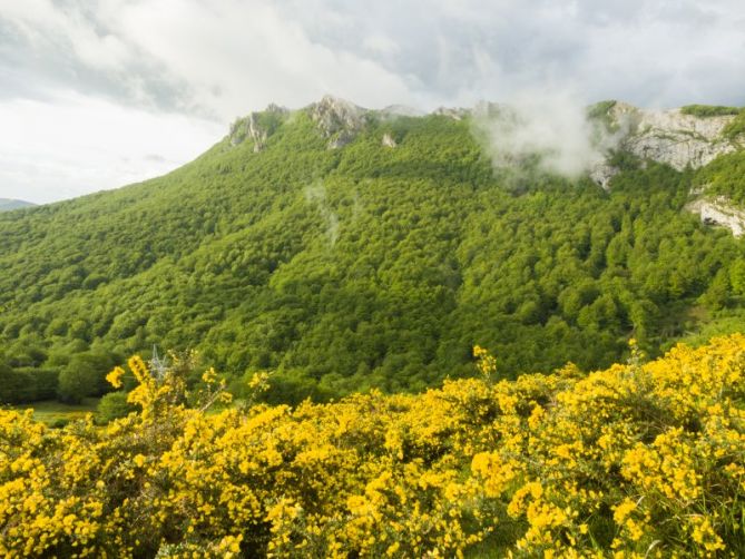 Udaberria lehertzen: foto en Zegama