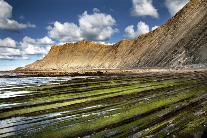 Udaberria Sakonetan: foto en Deba