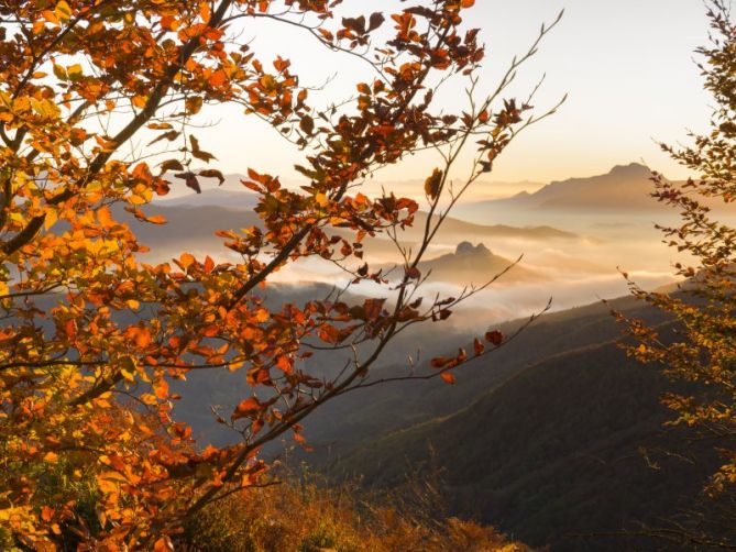 Udazken gorria: foto en Zegama