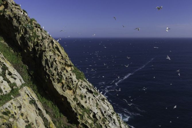 Ulia: foto en Donostia-San Sebastián