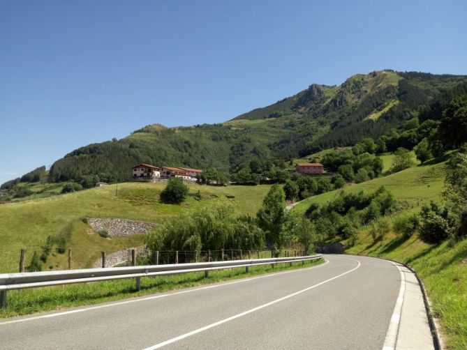 Uzturre berdea: foto en Tolosa