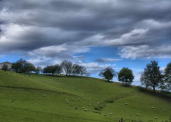 VALLE DE IBARLA (IRUN).