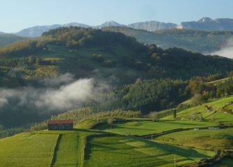 Veo, veo, veo Navarra