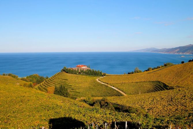 Viñedos costeros: foto en Getaria