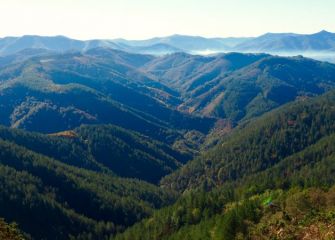 Vistas