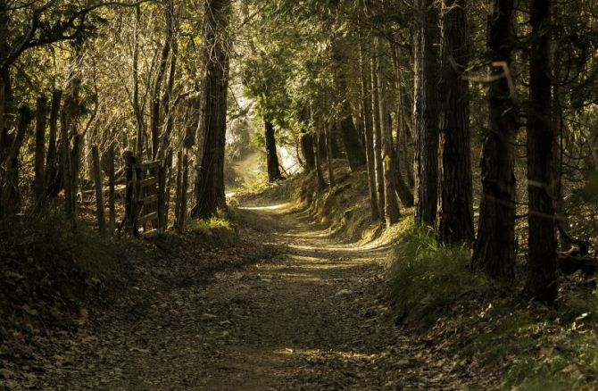  sendero: foto en Hondarribia