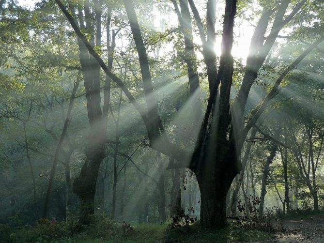 AGORREGI -PARQUE DE PAGOETA: foto en Aia