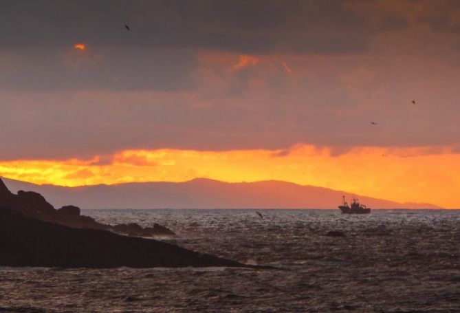 El aita vuelve a casa a cenar: foto en Donostia-San Sebastián