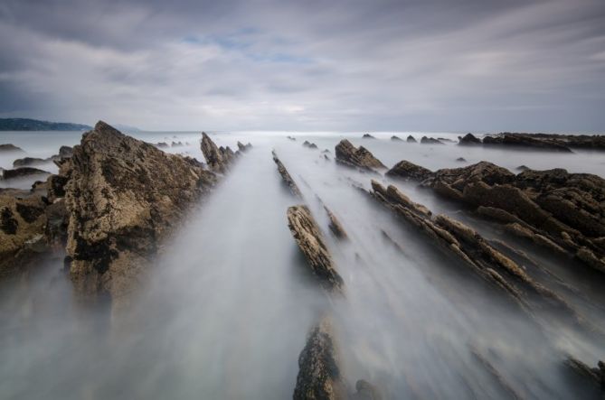 Aletas de tiburón: foto en Zumaia