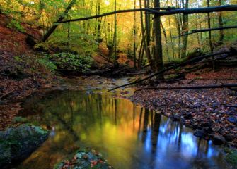 amanece en Artikutza