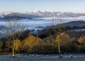 AMANECE EN FEBRERO