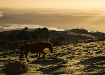 Amanecer entre niebla.