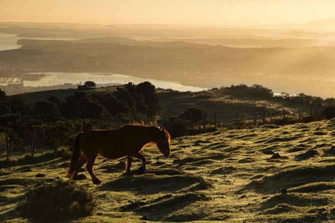 Amanecer entre niebla.: foto en Hondarribia