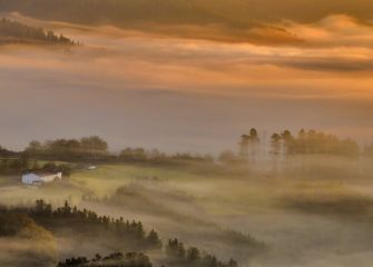 Amanecer entre nieblas