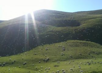 Aralar y los campos de Alotza