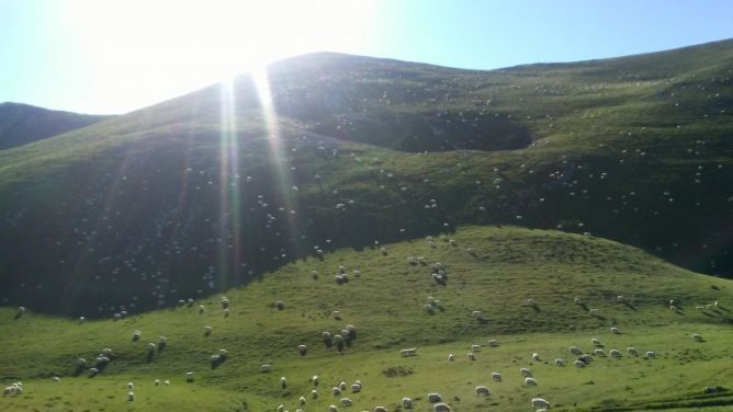 Aralar y los campos de Alotza: foto en Hondarribia