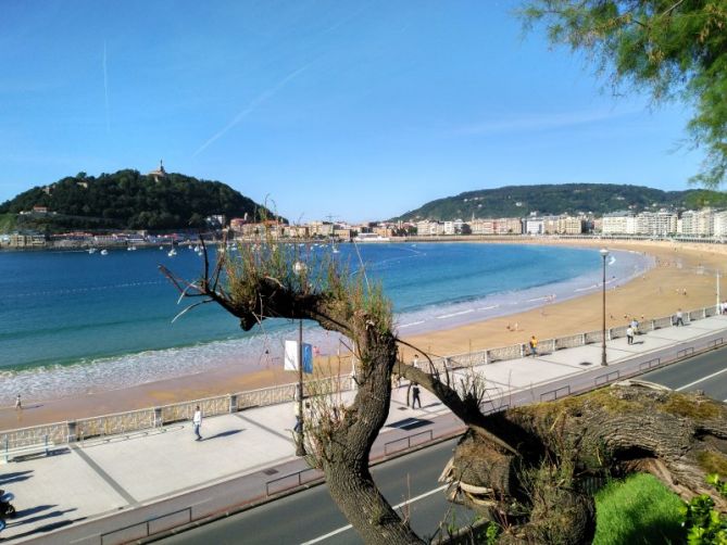 Árbol caído: foto en Donostia-San Sebastián