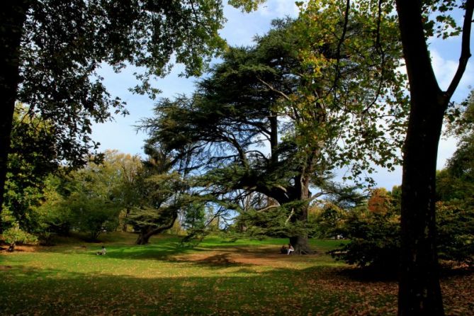 EL ARBOL DE LA ESPERIENCIA: foto en Donostia-San Sebastián