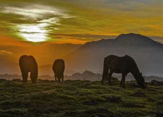 Atardecer en Pagoeta