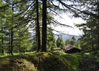 Atsedena hartuko dugu