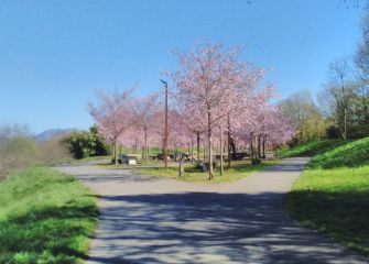 Belleza primaveral en Ametzagaña