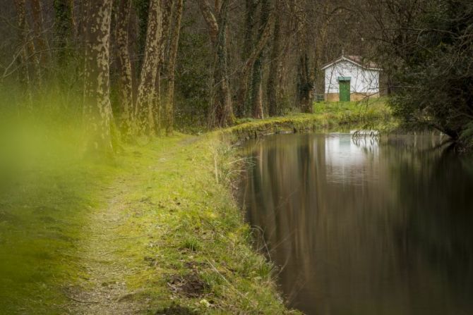 bidea: foto en Hernani