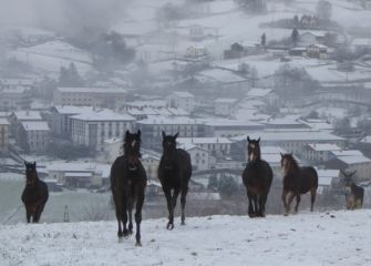 Burro el ultimo !!!!