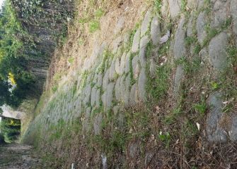 caminante no hay camino...