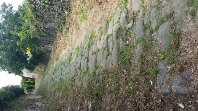 caminante no hay camino...: foto en Zarautz