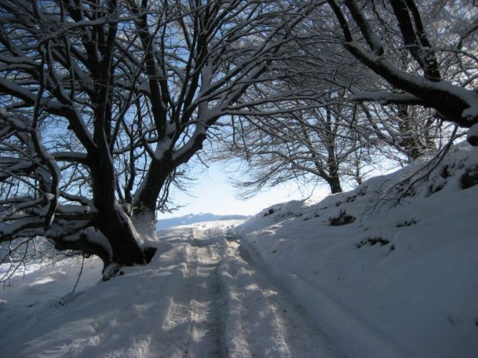 CAMINO A OIANLEKU: foto en Oiartzun